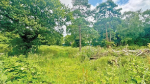 Development Opportunity in WISBECH photo